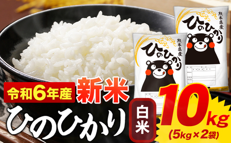 令和6年産 ひのひかり 白米 10kg 《11月-12月より出荷予定(土日祝を除く)》|熊本県産 御船町 白米 精米 ひの 米 こめ ふるさと納税 ヒノヒカリ コメ お米 おこめ