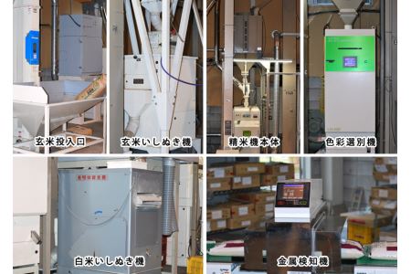 令和7年産【定期便3回】邑南町産きぬむすめ10kg