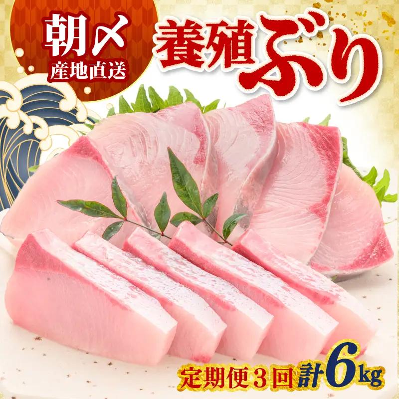 ぶり 定期便 2kg × 3回 冷蔵 鰤