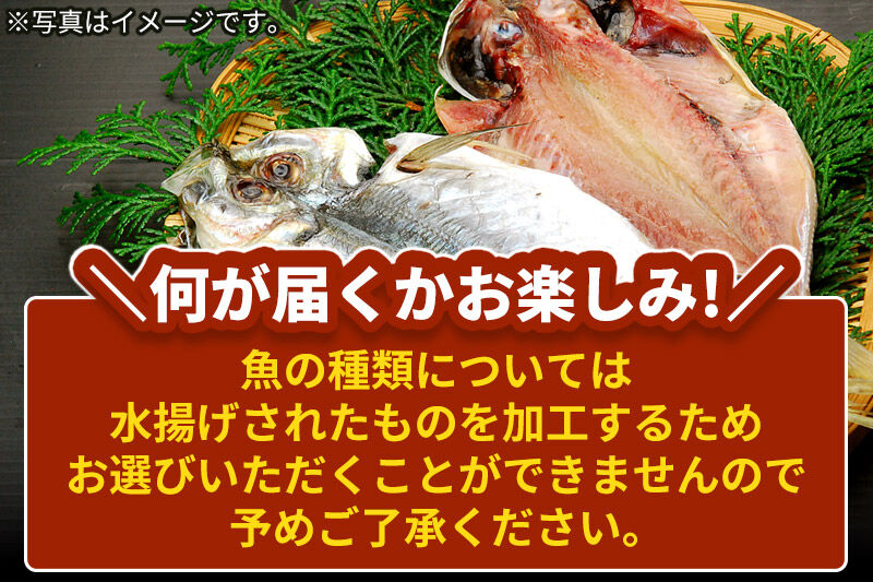 干物の玉手箱 5～6枚 [魚 鮮魚 干物 おかず おつまみ 食べ比べ セット おまかせ 冷凍 贈答 秋田]