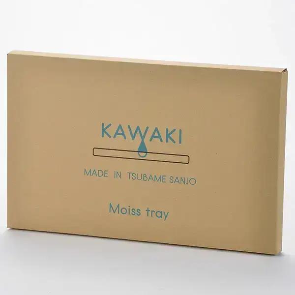吸水プレート モイストレイ レギュラー 滴る水をしっかり吸収 吸水マット 水切り 皿洗い キッチン用品 bwsSELECTION [ビーワーススタイル]【010P130】