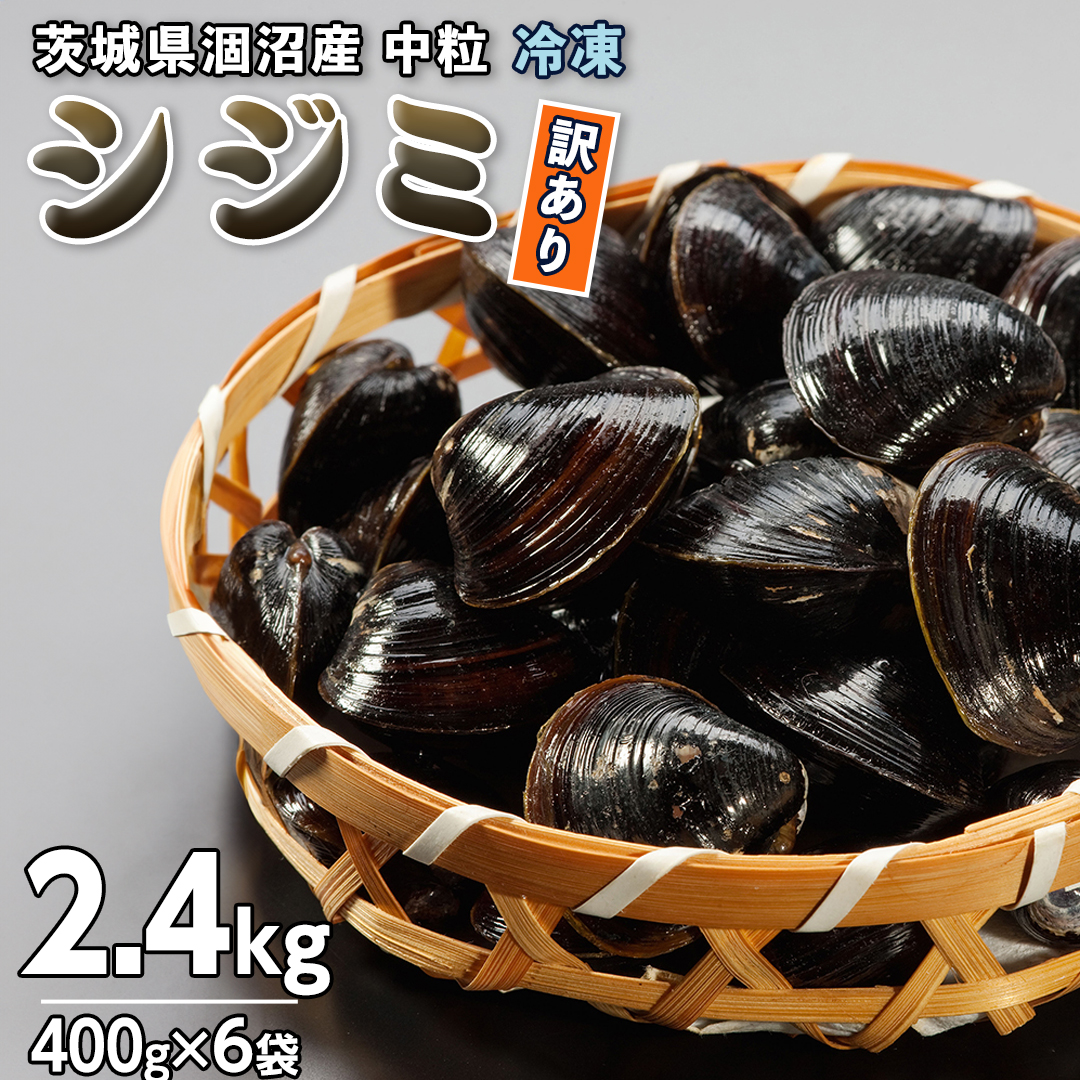 【訳あり】茨城県 涸沼産 中粒 冷凍 シジミ 2.4kg（400g×6袋） ヤマトシジミ しじみ 中粒 冷凍 味噌汁 スープ 魚貝類 貝 オルニチン コハク酸 小分け [EL003sa]