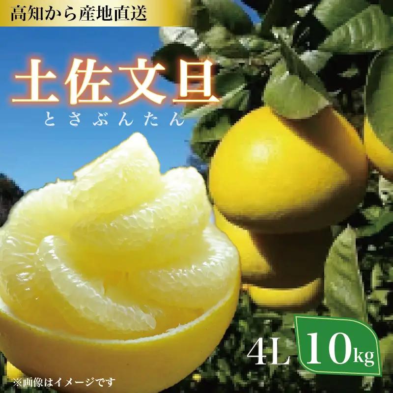 植田農園 土佐文旦 4L 10kg 文旦［1536-4］