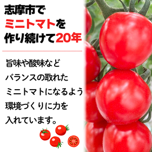 ミニトマト 1kg 国産 トマト キャロルスター 野菜 国産 サラダ パスタ 三重県 伊勢 志摩 5000円 5千円 五千円