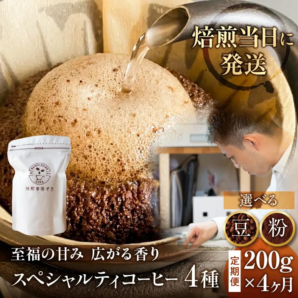 コーヒー 粉 定期便 4ヶ月 スペシャルティ  |  定期便