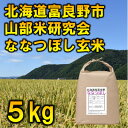 【ふるさと納税】【毎月定期便】北海道富良野市産ななつぼし 玄米[5kg×1袋]全6回【4058491】