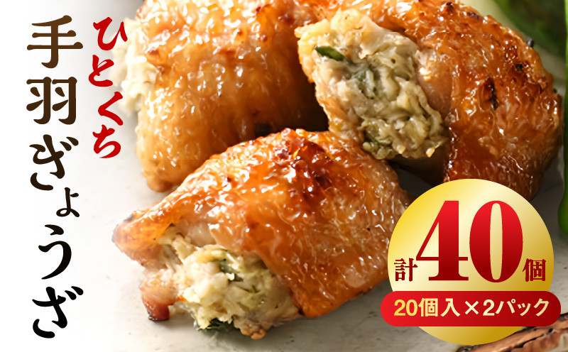 
            ひとくち 手羽 ぎょうざ 計40個 20個入×2パック | 餃子 手羽 てば 肉 お肉 手羽先 手羽先餃子 宮崎餃子 ご当地 グルメ ご当地グルメ おつまみ おかず 中華料理 焼き餃子 揚げ餃子 鶏肉 豚肉 牛肉 一口 ひとくち 一口サイズ 冷凍 宮崎 宮崎市 ｜ _M025-005
          