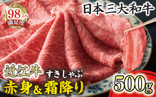 特選近江牛すき焼き・しゃぶしゃぶ用『霜降り・赤身ミックス』500g【寛閑観】【FR04W】