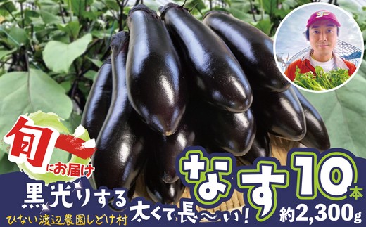 ナス 黒光りする太くて長い！10本　【40P3224】