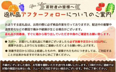 デコ不知火（デコポン） 約3kg/サイズおまかせ　※2025年2月上旬～4月上旬頃に順次発送予定(お届け日指定不可)　紀伊国屋文左衛門本舗　【sutb421B】