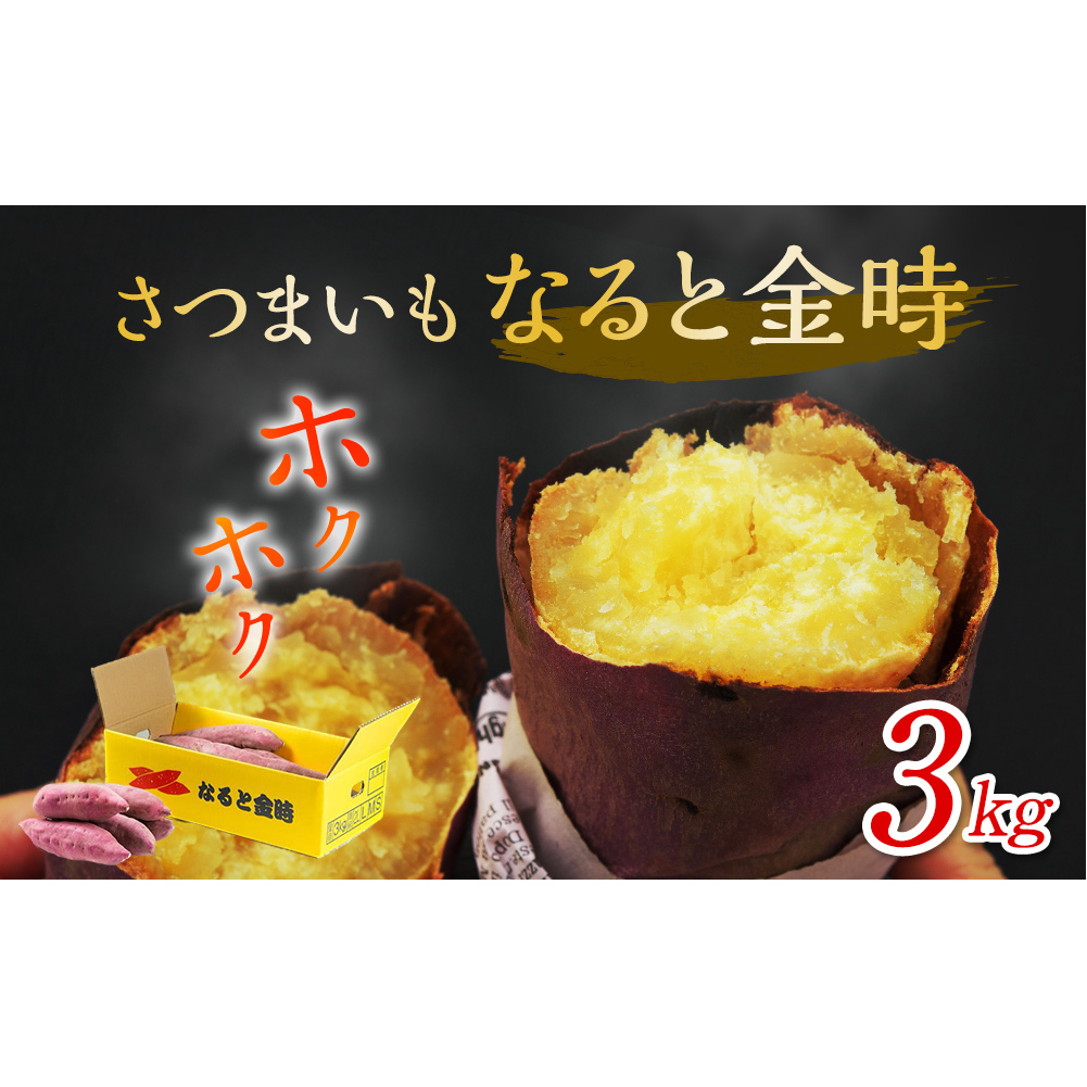 【予約受付中・2026年9月下旬頃より順次発送】さつまいも なると金時 3kg 
