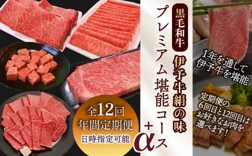 全12回定期便 黒毛和牛 伊予牛 絹の味  プレミアム 堪能コース+α　愛媛県西条市 青野精肉店 【配送日時指定可・冷蔵】 ※関東以北・沖縄へのお届けは冷凍  | 黒毛和牛 A4～A5 お肉 牛肉 国産肉 国産牛肉 肉 和牛 おにく グルメ お取り寄せ おすすめ 国産 愛媛県 西条市
