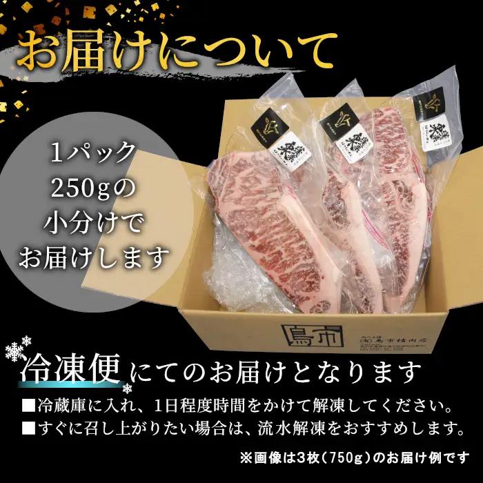 国産牛 段戸山高原牛 サーロイン ステーキ用 2枚（250g×2） 500g 蓬莱泉 ブランド牛 国産牛 お祝い 贈答-076