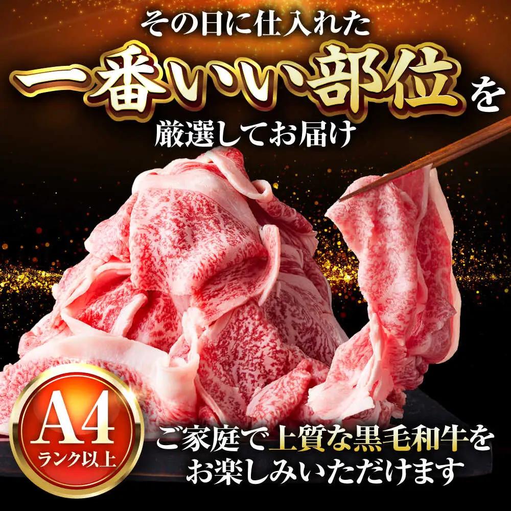 【A4-A5】博多和牛 大判霜降り 贅沢切り落とし 750g (250g×3P) [BGAB110]
