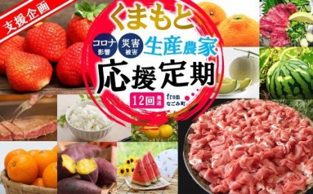 【 定期便 12回 】支援 企画 ！ くまもと 生産 農家 応援 定期便 ！ 肉 野菜 フルーツ