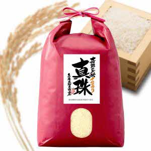 【ふるさと納税】自然栽培米 新米 令和7年産 イセヒカリ 真珠 白米5kg [ 奇跡のお米 伊勢ひかり オーガニック 米 こめ コメ 精米 兵庫県 加東市]