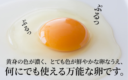 【定期便12ヶ月】たまごの郷奥丹波 10個×3パック