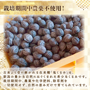 先行予約  和くるみ 600g 希少 在来種 鬼くるみ 割り胡桃 くるみ くるみ くるみ くるみ くるみ tsuguchan004