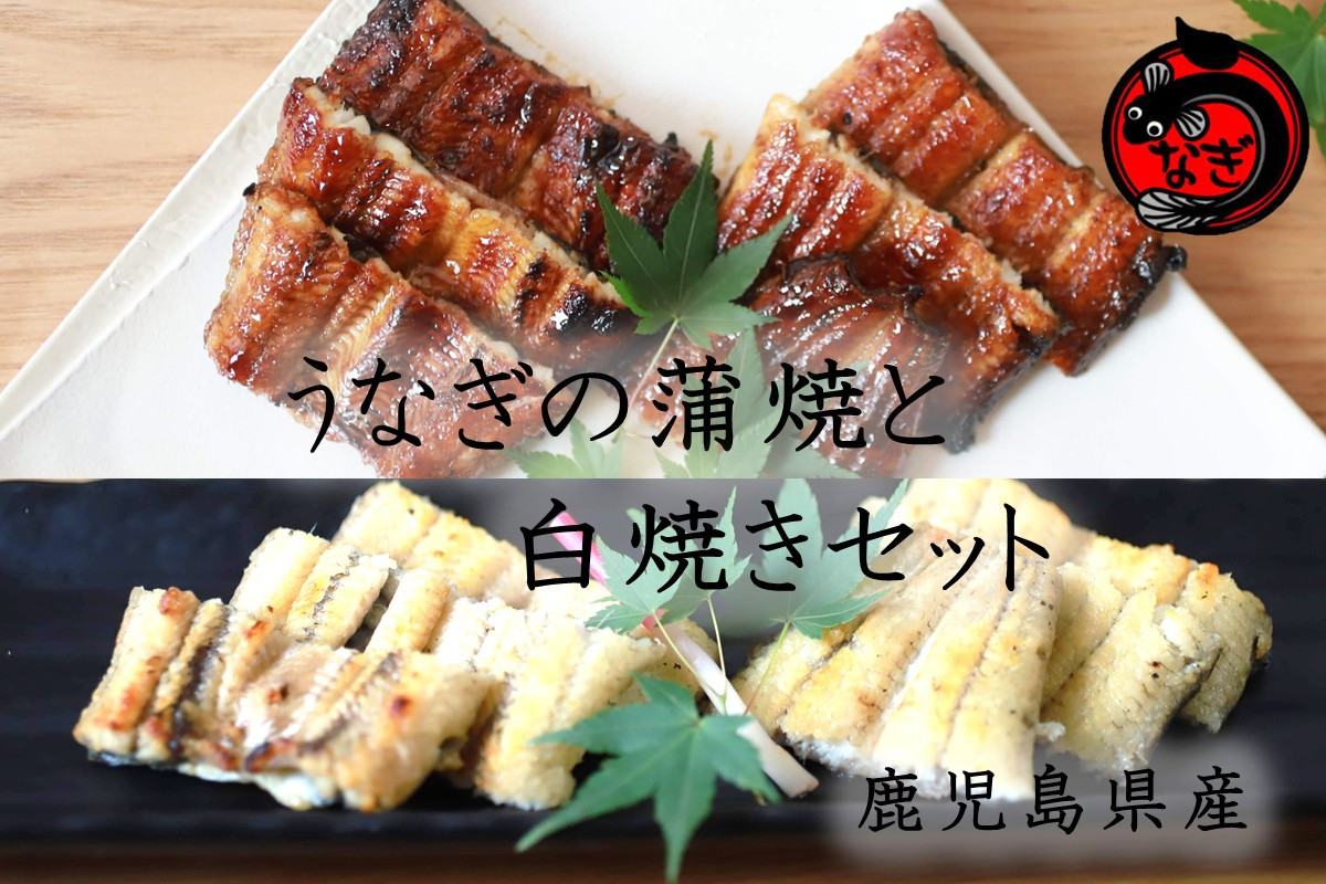 
            鹿児島産うなぎの蒲焼と白焼きセット 2尾【B7-034】
          