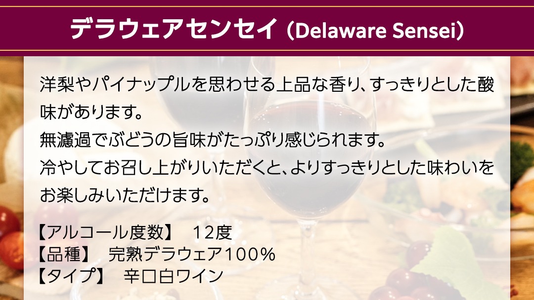 【 新酒 】デラウェアセンセイ Delaware Sensei 2024 750ml×1本 茨城県産 牛久醸造場 日本ワイン ワイン 白ワイン 750ml ミディアムボディ お酒 贈り物 葡萄 ぶどう [BJ060us]