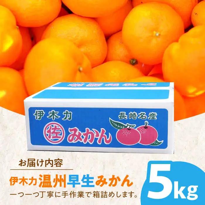 伊木力温州早生 みかん5kg AHBD004 みかん