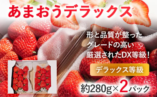 【2025年発送先行予約】あまおうデラックス（約280g x2パック） お取り寄せグルメ お取り寄せ 福岡 お土産 九州 福岡土産 取り寄せ グルメ 福岡県