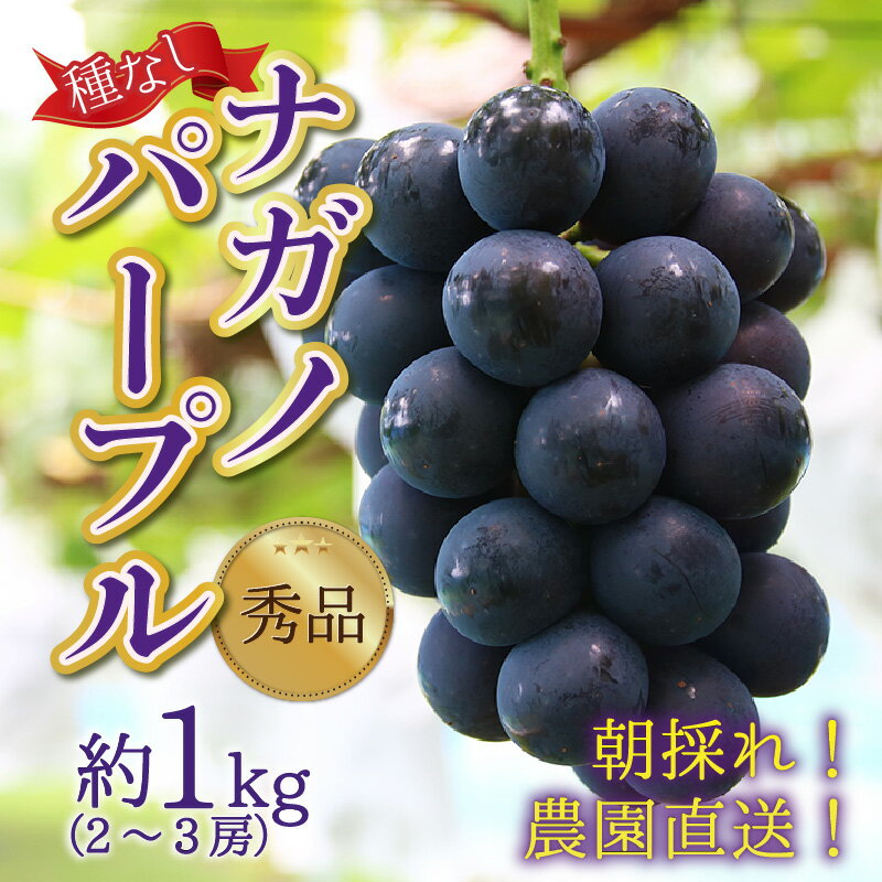 【ふるさと納税】【先行予約】種なし 朝採れ 秀品 上野梨園のナガノパープル 約1kg 農園直送 上野の葡萄 / ぶどう フルーツ 果物 くだもの 贈答 お土産 旬 皮ごと食べる ポリフェノール 美容 ぶどう狩り 巨峰 甘い 大粒 新鮮 濃厚※2025年8月下旬より順次発送