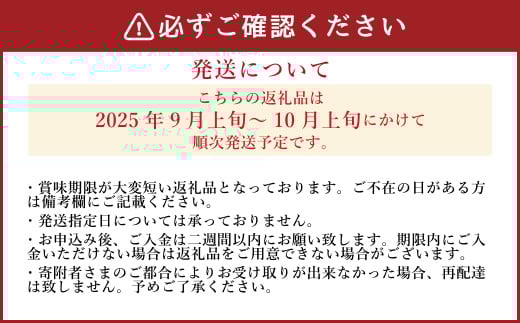 《先行予約》 「山之上果実農業協同組合」 山之上の梨 二十世紀 1箱 約2.5kg 【2025年9月上旬-10月上旬 発送予定】