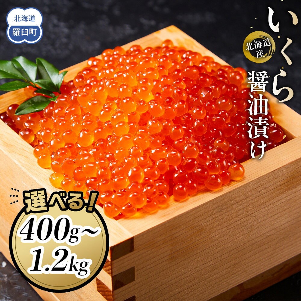 発送時期が選べる 新物 国産 いくら 500g 鮭卵 醤油漬け 北海道産 大容量 (250g × 2パック) 小分け パック イクラ 海鮮丼 ギフト 鮭いくら 年末 贈り物 魚介類 魚介 北海道 海産物 鮭 しゃけ 高評価★4.6 数量限定 羅臼町 生産者 支援 応援 F22M-001var