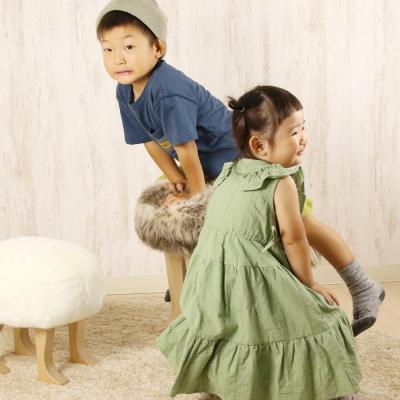 ふるさと納税 東神楽町 【匠工芸】アニマルスツール ウルフグレーミックスver.2 (Sサイズ)家具 可愛い おしゃれ イス |  | 01