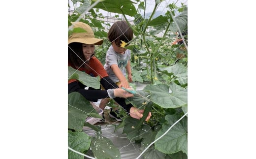 農家に変身！ 収穫・農業体験　5名様