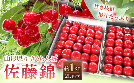 
【令和6年産先行予約】 さくらんぼ ｢佐藤錦｣ 約1kg (秀 2L以上) パック詰め 《令和6年6月発送》 『田口農園』 サクランボ 果物 フルーツ 産地直送 生産農家直送 山形県 南陽市 [1396]
