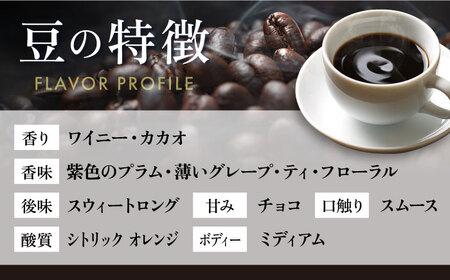 【全12回定期便】コーヒー豆 自家焙煎 中煎り エルサルバドル 200g×4 TSUKIKOYA COFFEE ROASTER ツキコヤ 珈琲 こだわり 横須賀【株式会社RUINS】 [AKAD030