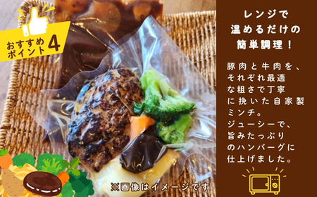 ジューシーなデミグラスハンバーグ 3個セット 野菜ソテー付き デミグラスソース 一食完結型 総菜 おいしい 送料無料 洋食 ハンバーグ はんばーぐ 冷凍 人気 手軽  おかず 肉 おすすめ ハンバーグ
