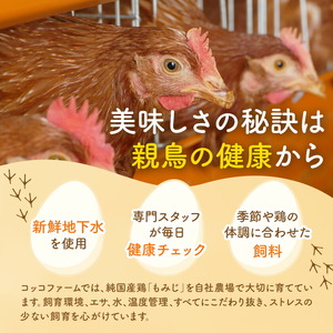 コッコファームのたまご 160個 コッコファーム《90日以内に出荷予定(土日祝除く)》熊本県 菊池市 卵 鶏卵 玉子 たまご 家庭用 熊本県産 九州産 冷蔵 送料無料