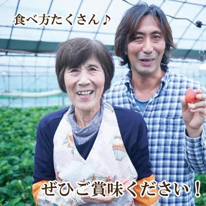 【先行予約】無添加あまおうイチゴジャム 150g×3本【2027年発送】