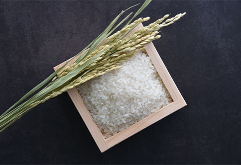 青野山の湧水と朝晩の寒暖差が育んだ棚田の甘~い米「コシヒカリ」(白米5kg×1袋)(令和7年産)