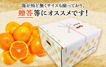 みかん Ｍサイズ 秀品 箱込 5kg (内容量約 4.4kg) 有田みかん 和歌山県産 産地直送 贈答用 【みかんの会】
