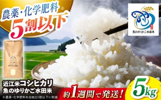 【スピード発送】【令和7年産】 米 近江米 コシヒカリ 5kg 魚のゆりかご水田米 長浜市/阿辻農園[AQAW003] こしひかり 近江米 滋賀 魚のゆりかご 水田 米 お米 白米 5kg 魚のゆりかご水田 長浜市産 こめ 白米 精米 お米  食品 ふるさと納税 国産 炊きたて 米ギフト もちもち ブランド米  食卓 美味しい 産地直送 節約 人気 おすすめ おにぎり