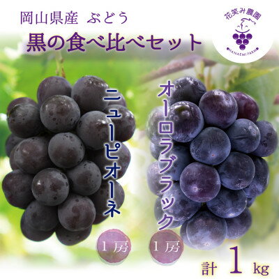 【ふるさと納税】【2026年先行予約】岡山　花笑み農園の『ニューピオーネ&オーロラブラック』1kg(2房)PA-1【配送不可地域：離島】【1693658】