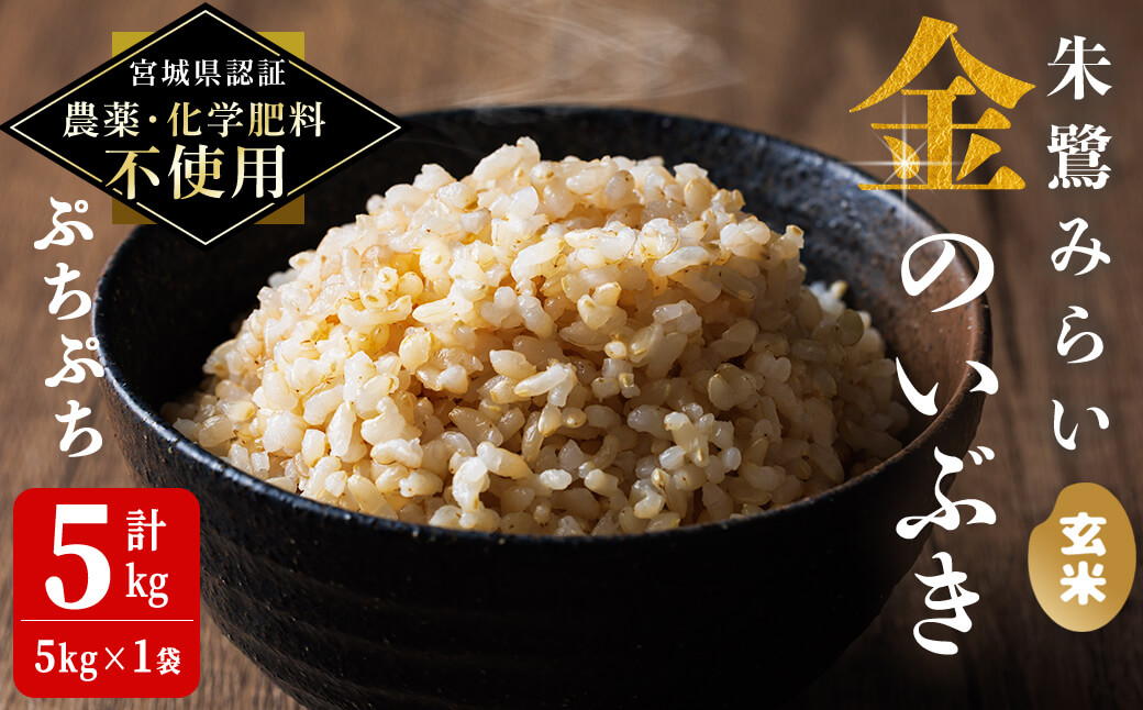 ＜宮城県認証 農薬・化学肥料不使用＞金のいぶき 玄米 5kg(5kg×1袋) 朱鷺みらい 登米市産 お米 おこめ 米 コメ ご飯 ごはん おにぎり お弁当 【オーガニックとめネットワーク】tm587