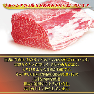 黒毛和牛 A5 ハンバーグ 140g×10個