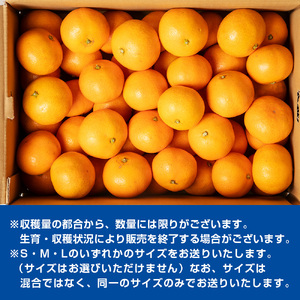 みかん 温州みかん 約5kg （S～Lサイズ） 秀品 数量限定 期間限定 柑橘 蜜柑 mikan フルーツ 果物 くだもの 国産 ブランド 贈答用 贈答品 贈答 ギフト 三重県 伊勢 志摩 南伊勢町 
