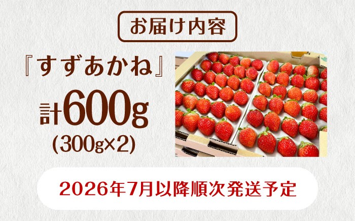 北海道からお届け！夏秋いちご　すずあかね