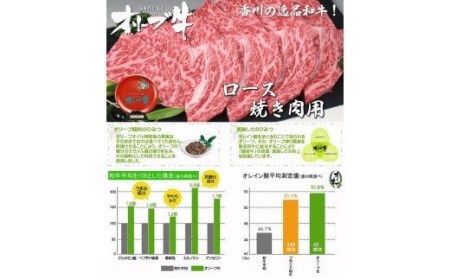 黒毛和牛オリーブ牛ロース焼肉用 約500ｇ×3_M18-0033