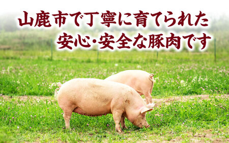 【12回定期便】豚ロースステーキ＆スライスセット 約1.2kg（ステーキ用 約150g×4枚・スライス 約300g×2pc）【吉里精肉】[ZEW104]