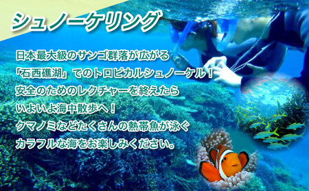 幻の島上陸＆トロピカルシュノーケリング 半日で石垣島の絶景を満喫★初心者歓迎！＜半日／市街地送迎／石垣島発＞【 旅行 体験チケット観光 大自然 体験ツアー 観光 沖縄 アクティビティ シュノーケリング