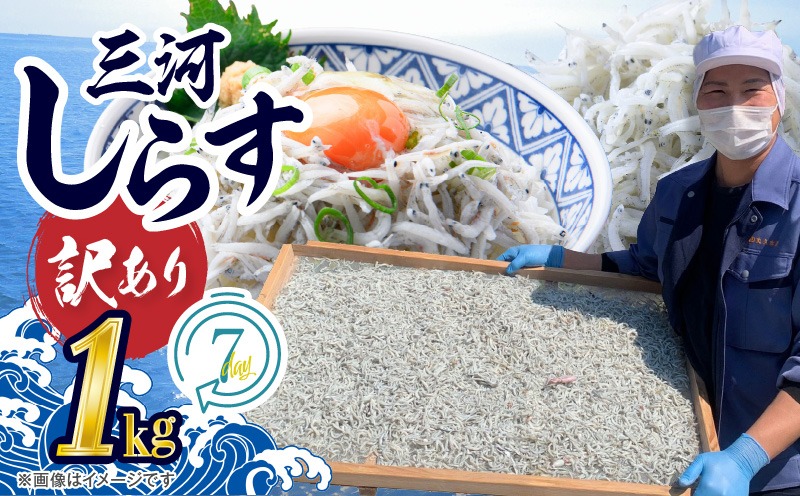 訳あり 小モリ1kg！バラエティ豊富な三河しらす～海の仲間たち～ 魚介類 しらす シラス 国産 海の幸 ご飯のお供 おつまみ しらす丼 グルメやみつき 冷凍　H018-061