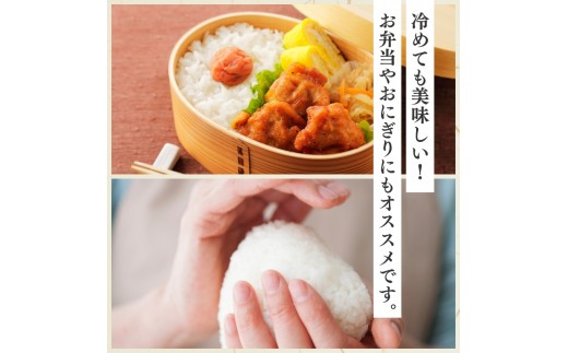 令和8年産 食味鑑定士厳選  新潟県上越柿崎区厳選 こしひかり 無洗米 15kg 6か月定期便 上越市 米 コメ コシヒカリ ファインリョーコク