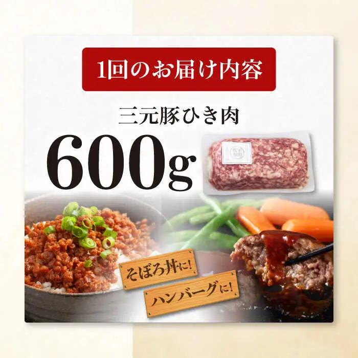 【全6回定期便】平田牧場 ひき肉 600g 豚肉 餃子 つくね [AJAP120]